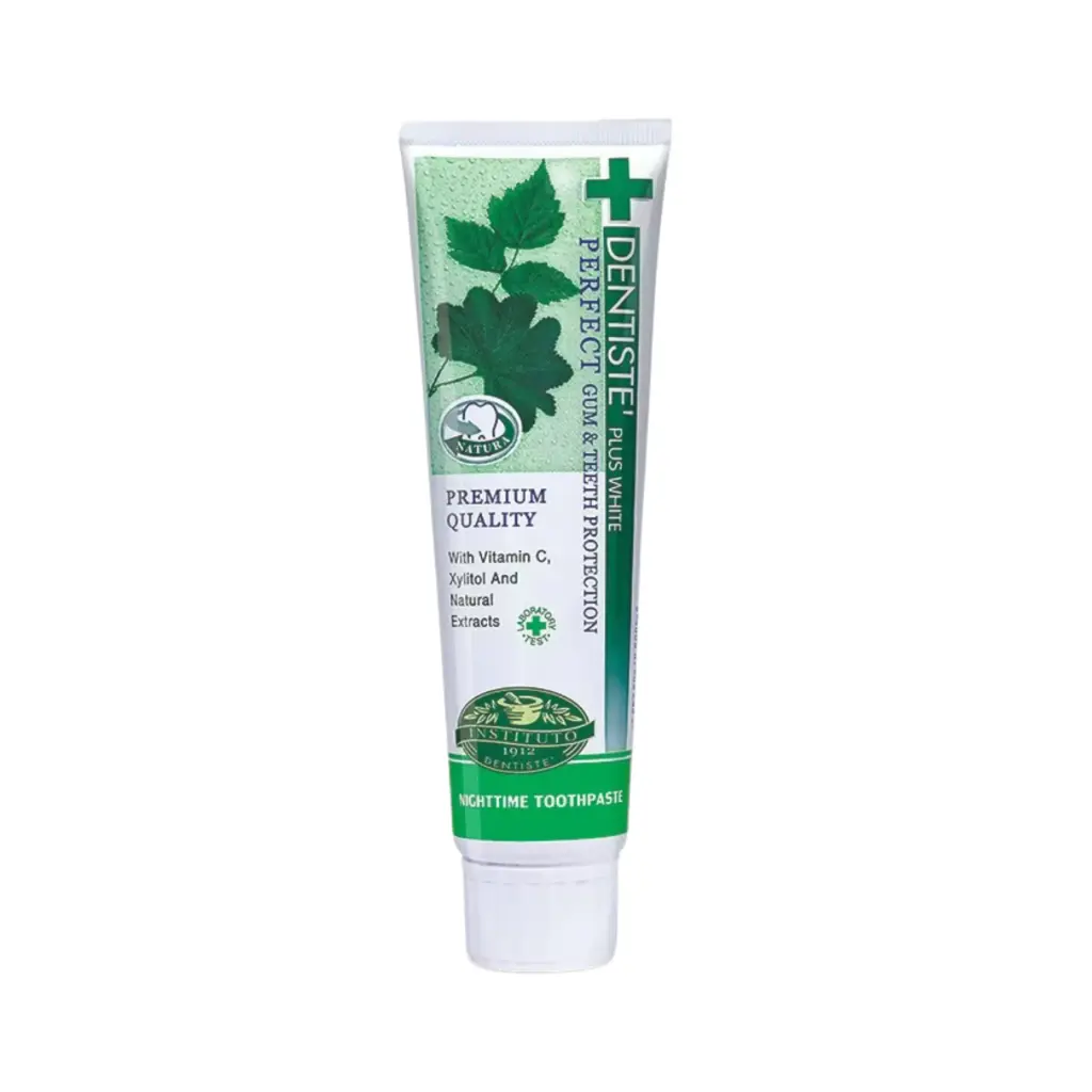 Dentiste Nighttime Toothpaste Tube 100g