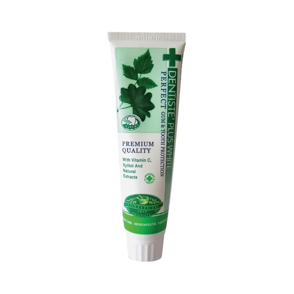 Dentiste Nighttime Toothpaste Tube 160g