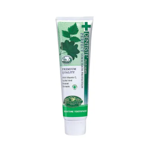 [9300807032992] Dentiste Nighttime Toothpaste Tube 100g